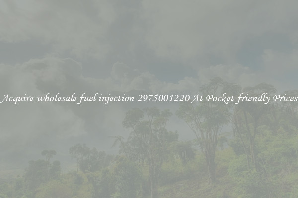 Acquire wholesale fuel injection 2975001220 At Pocket-friendly Prices