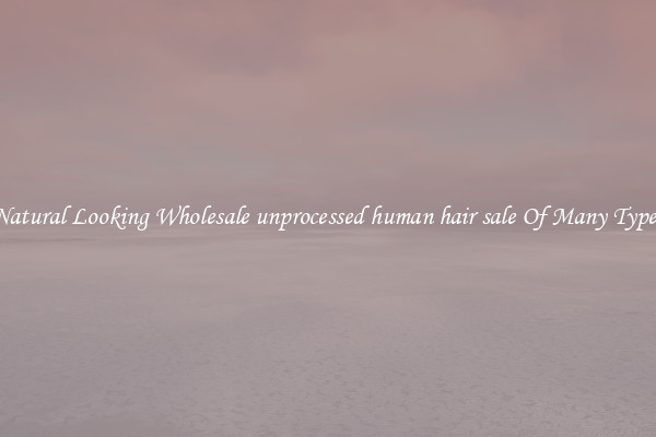 Natural Looking Wholesale unprocessed human hair sale Of Many Types