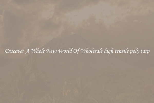 Discover A Whole New World Of Wholesale high tensile poly tarp
