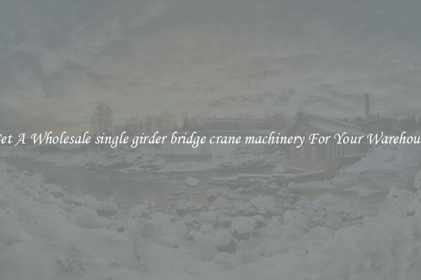 Get A Wholesale single girder bridge crane machinery For Your Warehouse