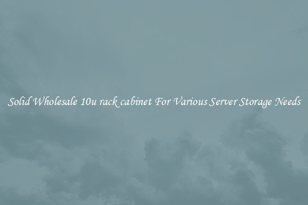 Solid Wholesale 10u rack cabinet For Various Server Storage Needs