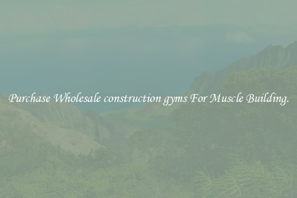 Purchase Wholesale construction gyms For Muscle Building.