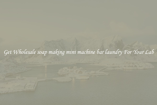 Get Wholesale soap making mini machine bar laundry For Your Lab
