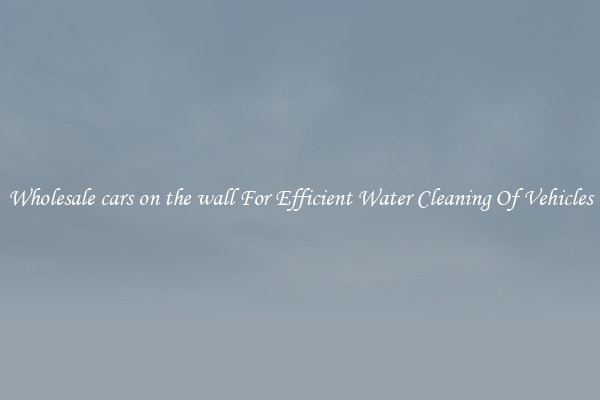 Wholesale cars on the wall For Efficient Water Cleaning Of Vehicles