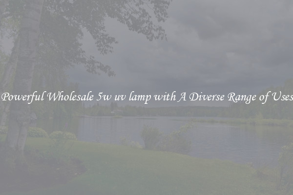 Powerful Wholesale 5w uv lamp with A Diverse Range of Uses