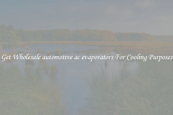 Get Wholesale automotive ac evaporators For Cooling Purposes