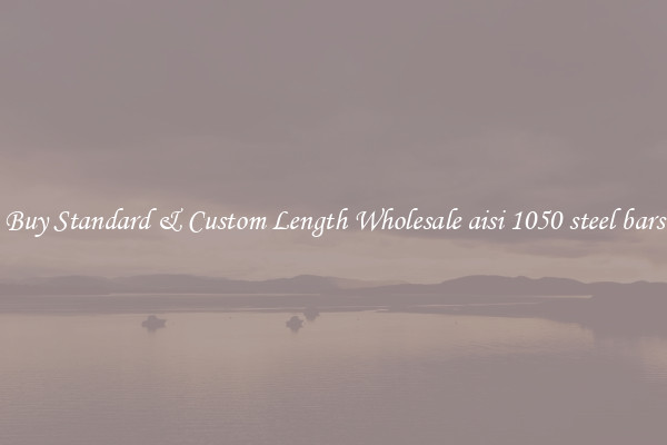 Buy Standard & Custom Length Wholesale aisi 1050 steel bars