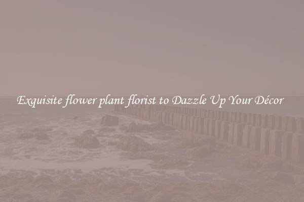 Exquisite flower plant florist to Dazzle Up Your Décor  
