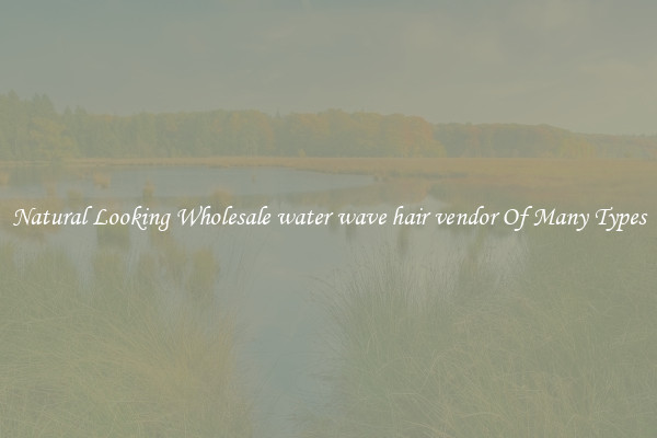 Natural Looking Wholesale water wave hair vendor Of Many Types