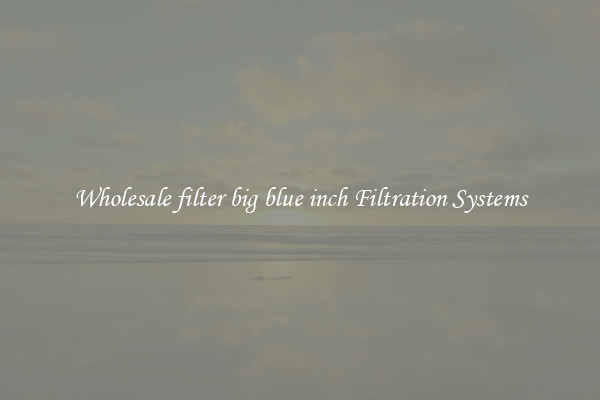 Wholesale filter big blue inch Filtration Systems