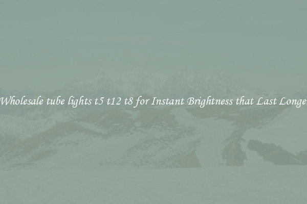 Wholesale tube lights t5 t12 t8 for Instant Brightness that Last Longer