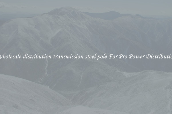 Wholesale distribution transmission steel pole For Pro Power Distribution