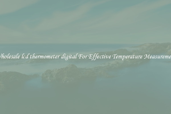 Wholesale lcd thermometer digital For Effective Temperature Measurement