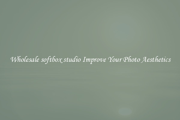 Wholesale softbox studio Improve Your Photo Aesthetics