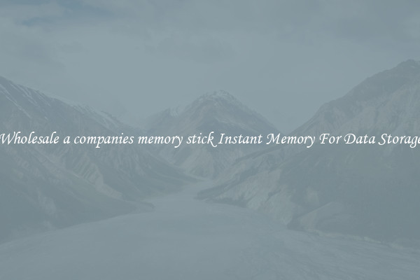 Wholesale a companies memory stick Instant Memory For Data Storage