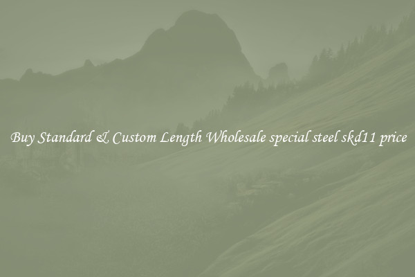 Buy Standard & Custom Length Wholesale special steel skd11 price