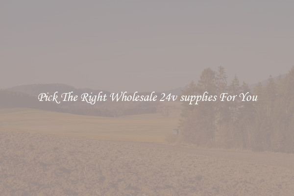 Pick The Right Wholesale 24v supplies For You