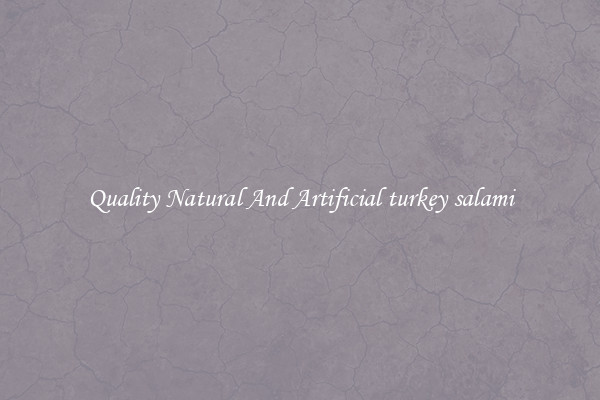 Quality Natural And Artificial turkey salami