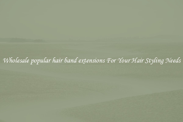 Wholesale popular hair band extensions For Your Hair Styling Needs