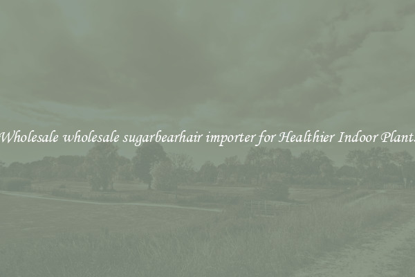 Wholesale wholesale sugarbearhair importer for Healthier Indoor Plants