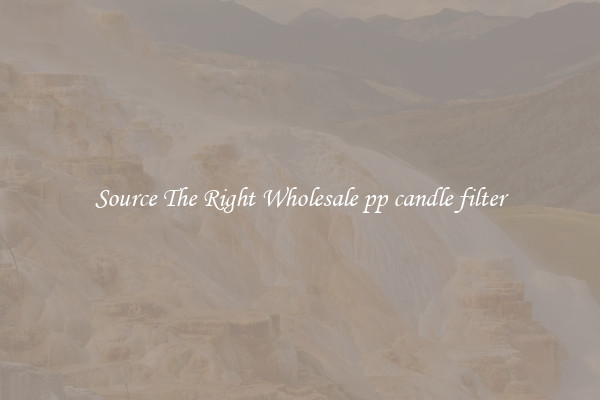 Source The Right Wholesale pp candle filter
