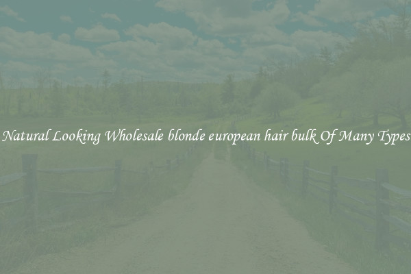 Natural Looking Wholesale blonde european hair bulk Of Many Types