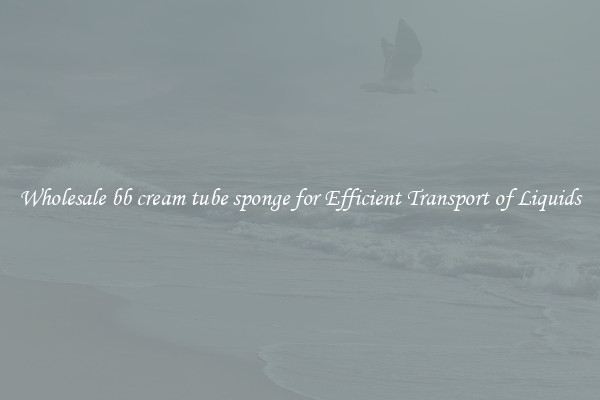 Wholesale bb cream tube sponge for Efficient Transport of Liquids