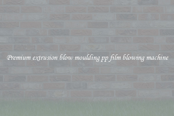Premium extrusion blow moulding pp film blowing machine