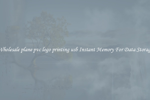 Wholesale plane pvc logo printing usb Instant Memory For Data Storage