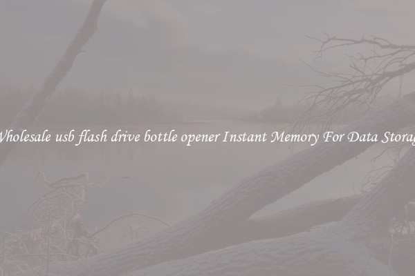 Wholesale usb flash drive bottle opener Instant Memory For Data Storage