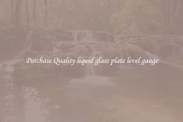 Purchase Quality liquid glass plate level gauge