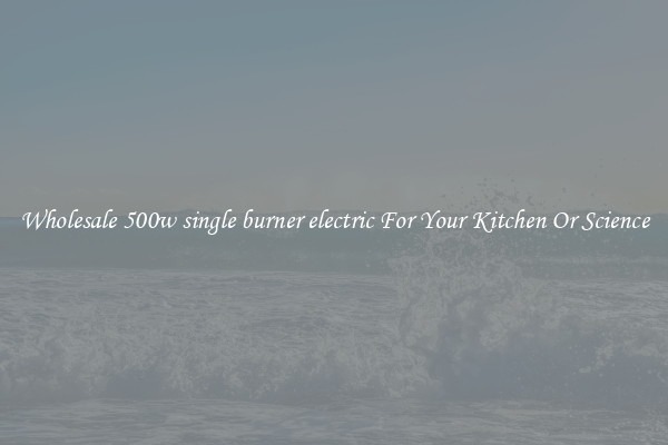 Wholesale 500w single burner electric For Your Kitchen Or Science